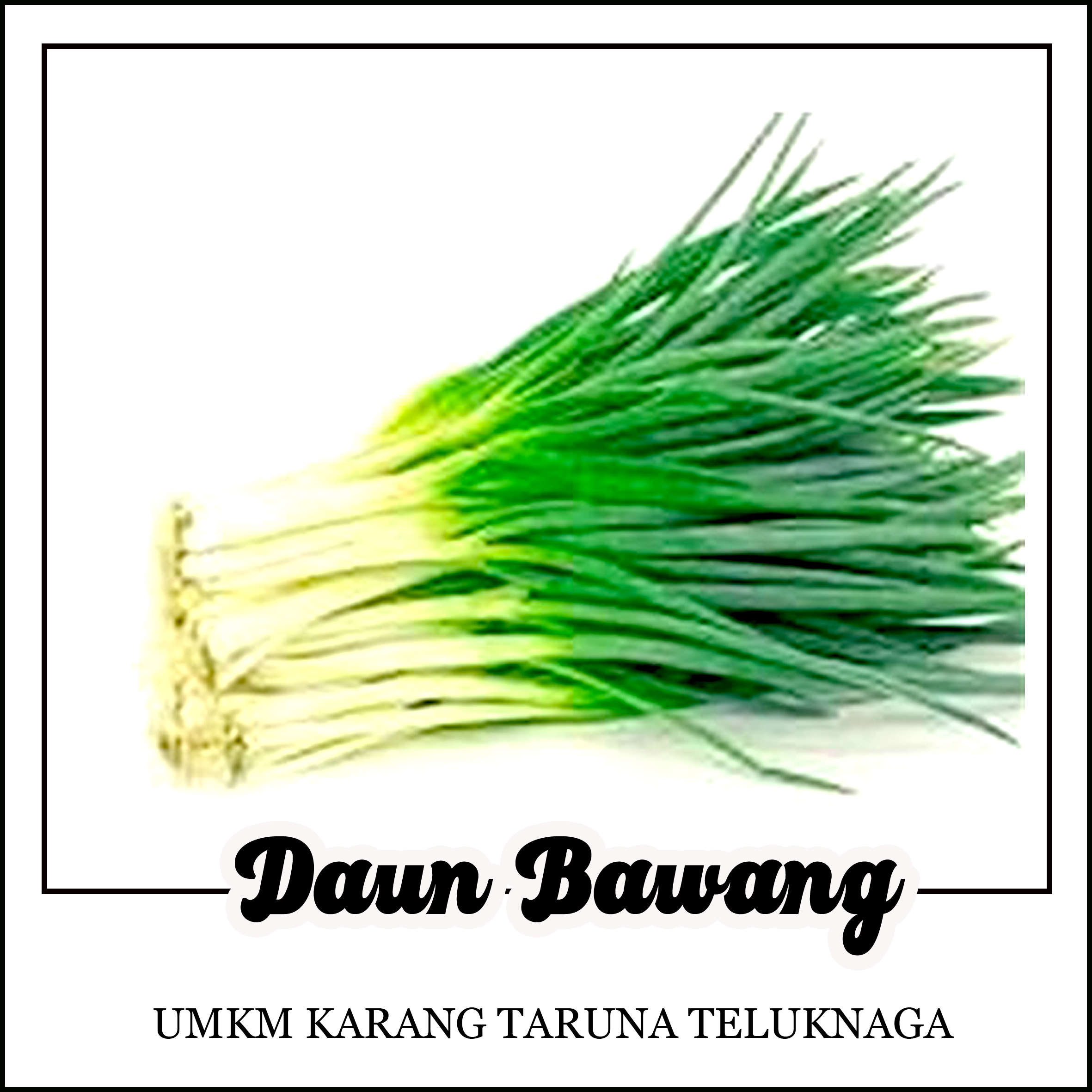 daun bawang