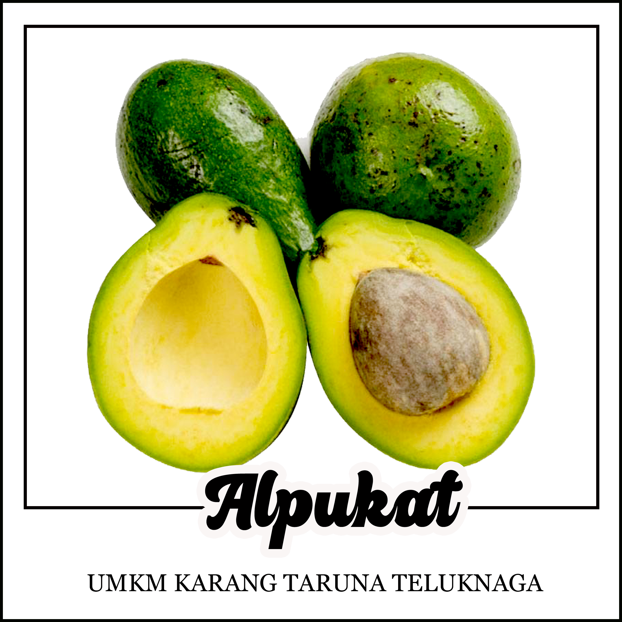 alpukat
