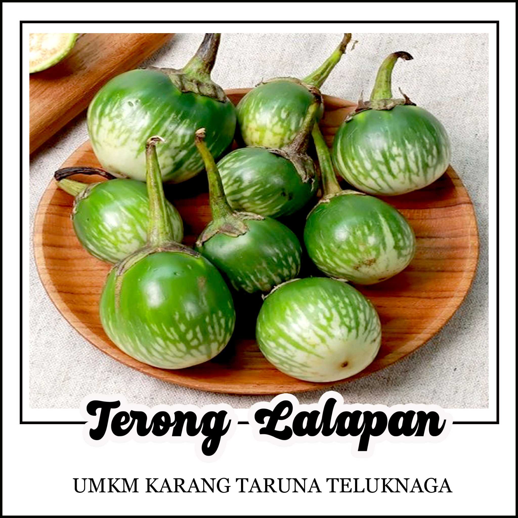 terong bulat / lalapan
