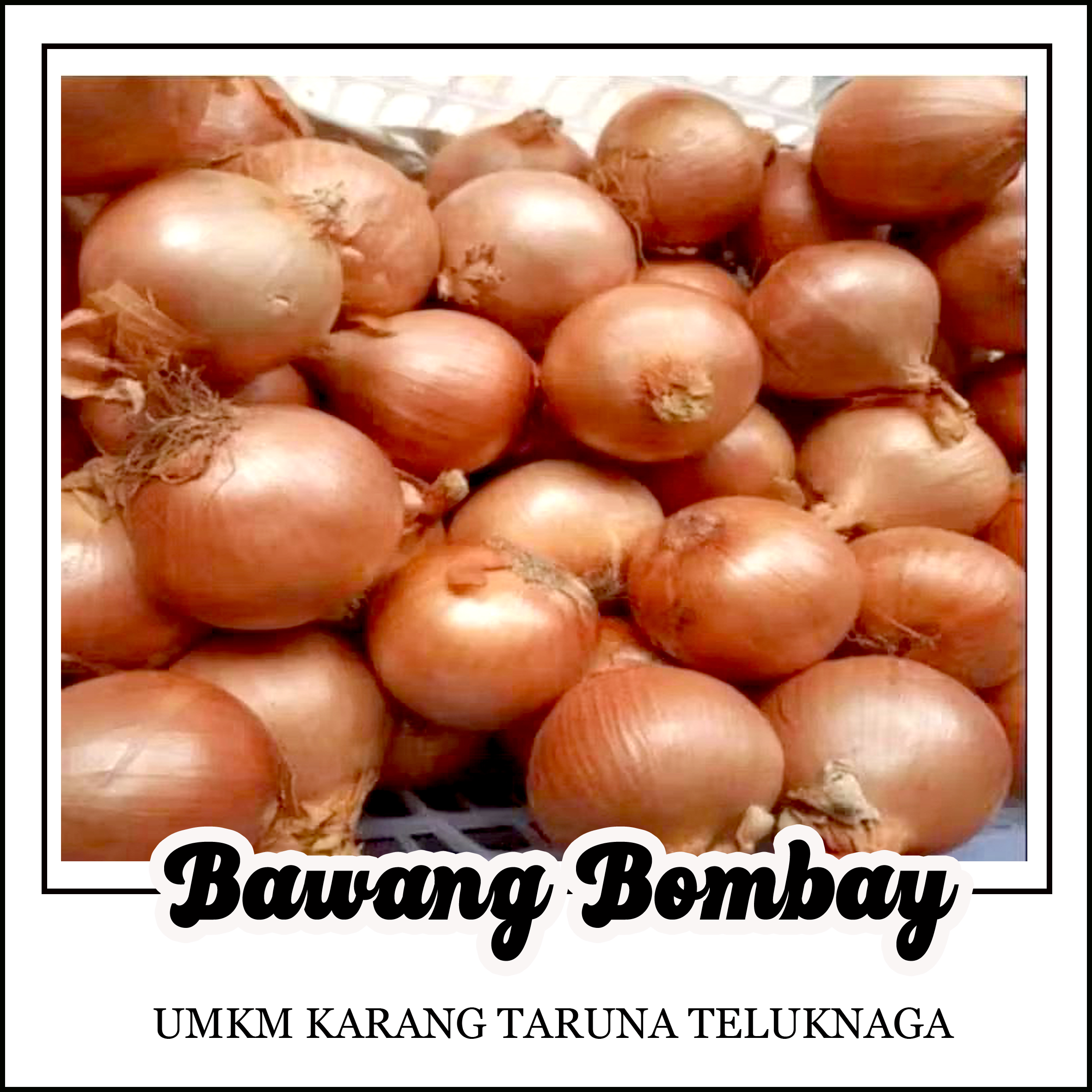 Bawang Bombai
