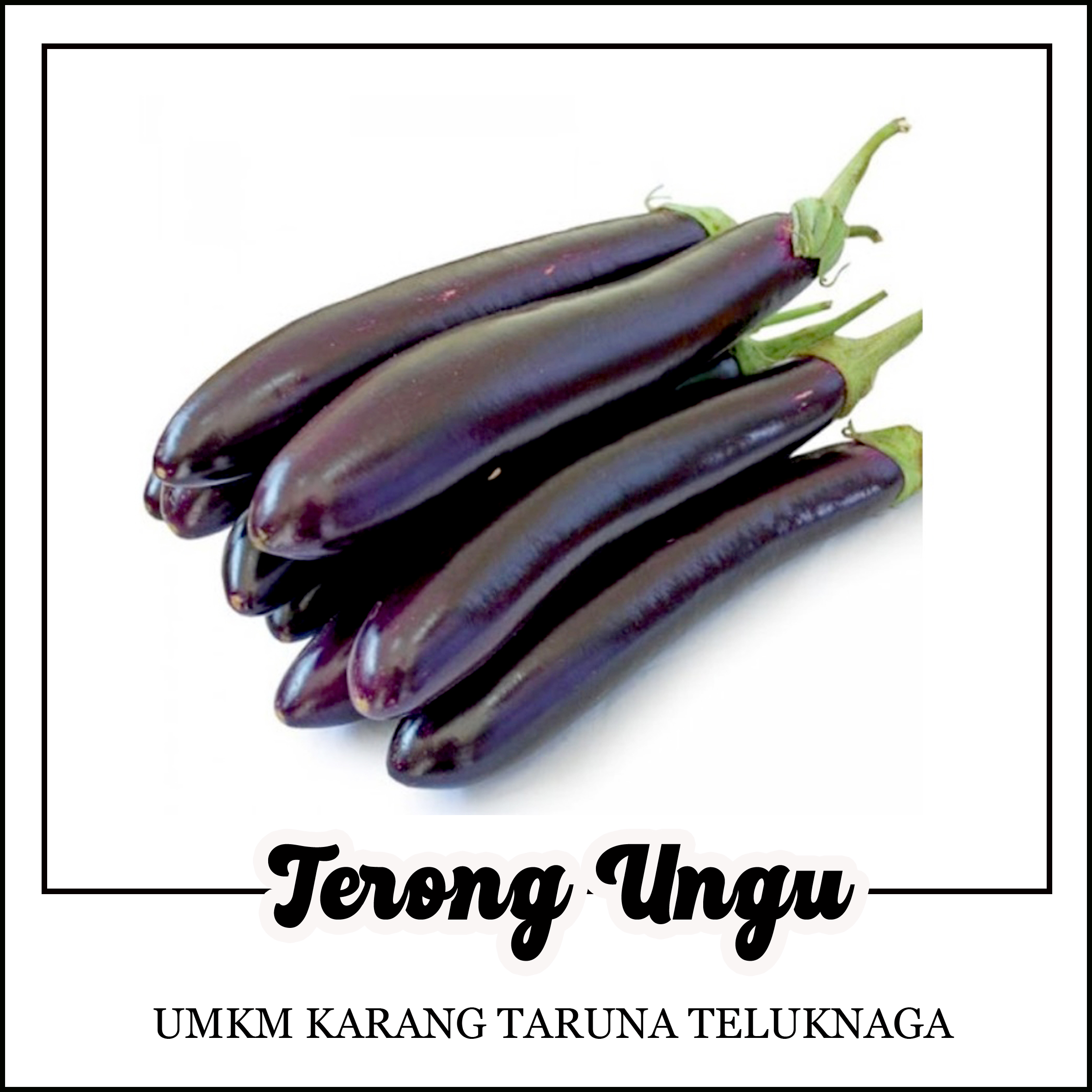 terong ungu