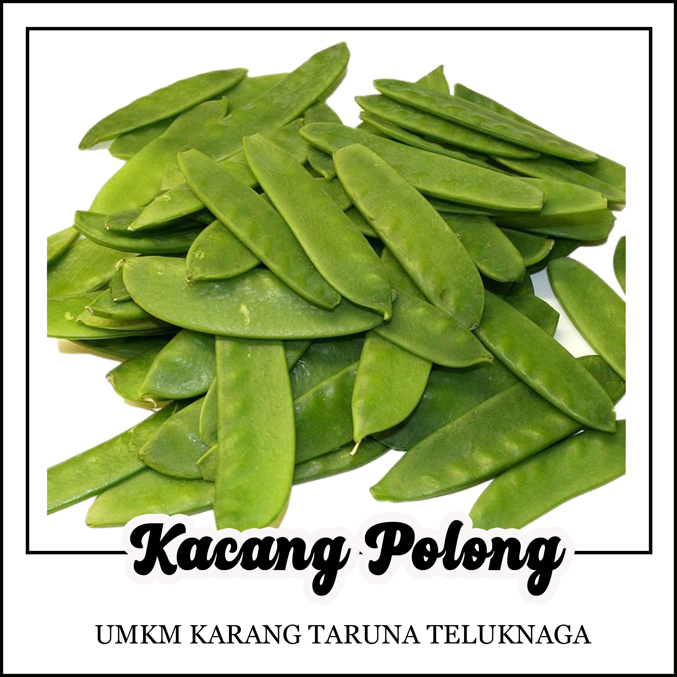 kacang polong