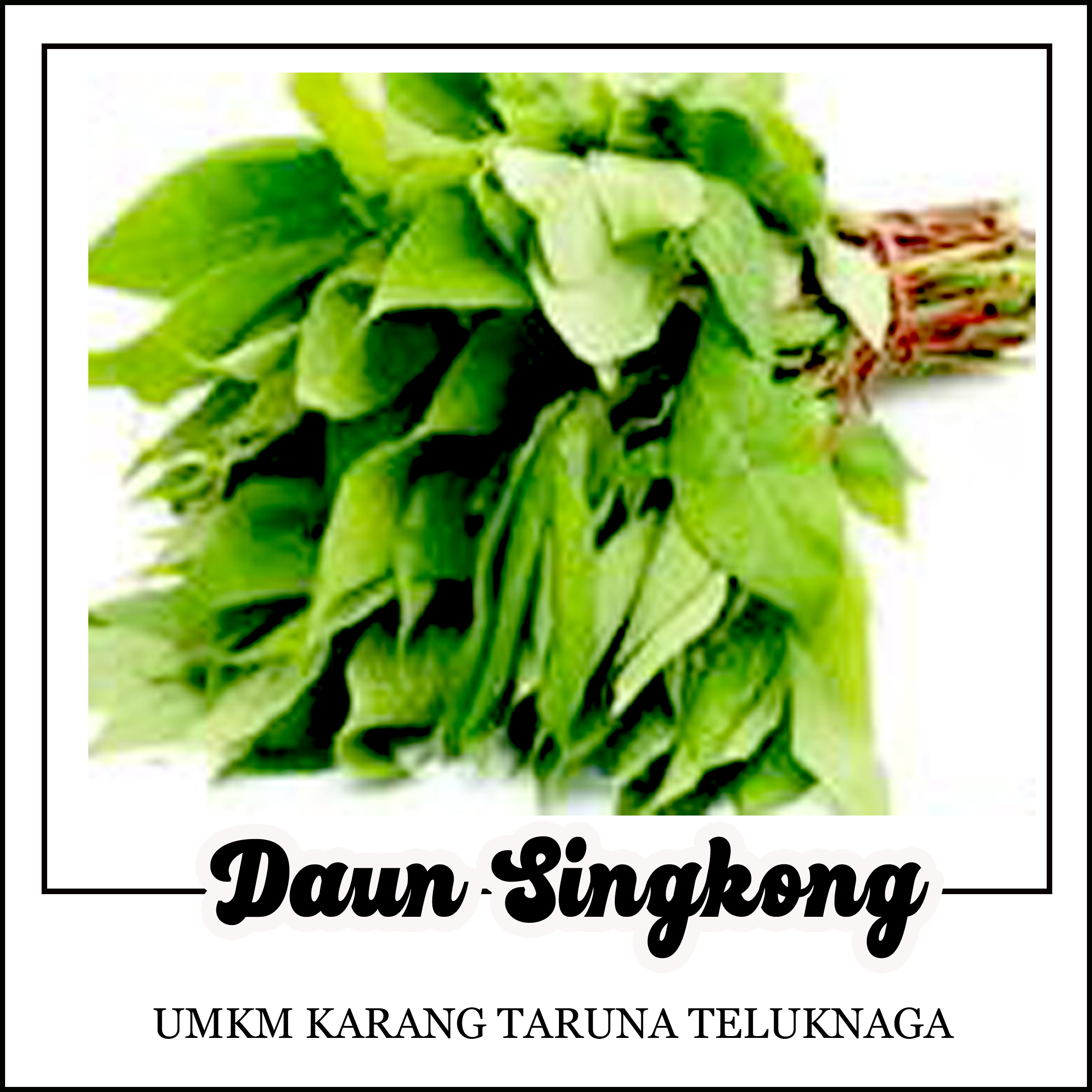 daun singkong