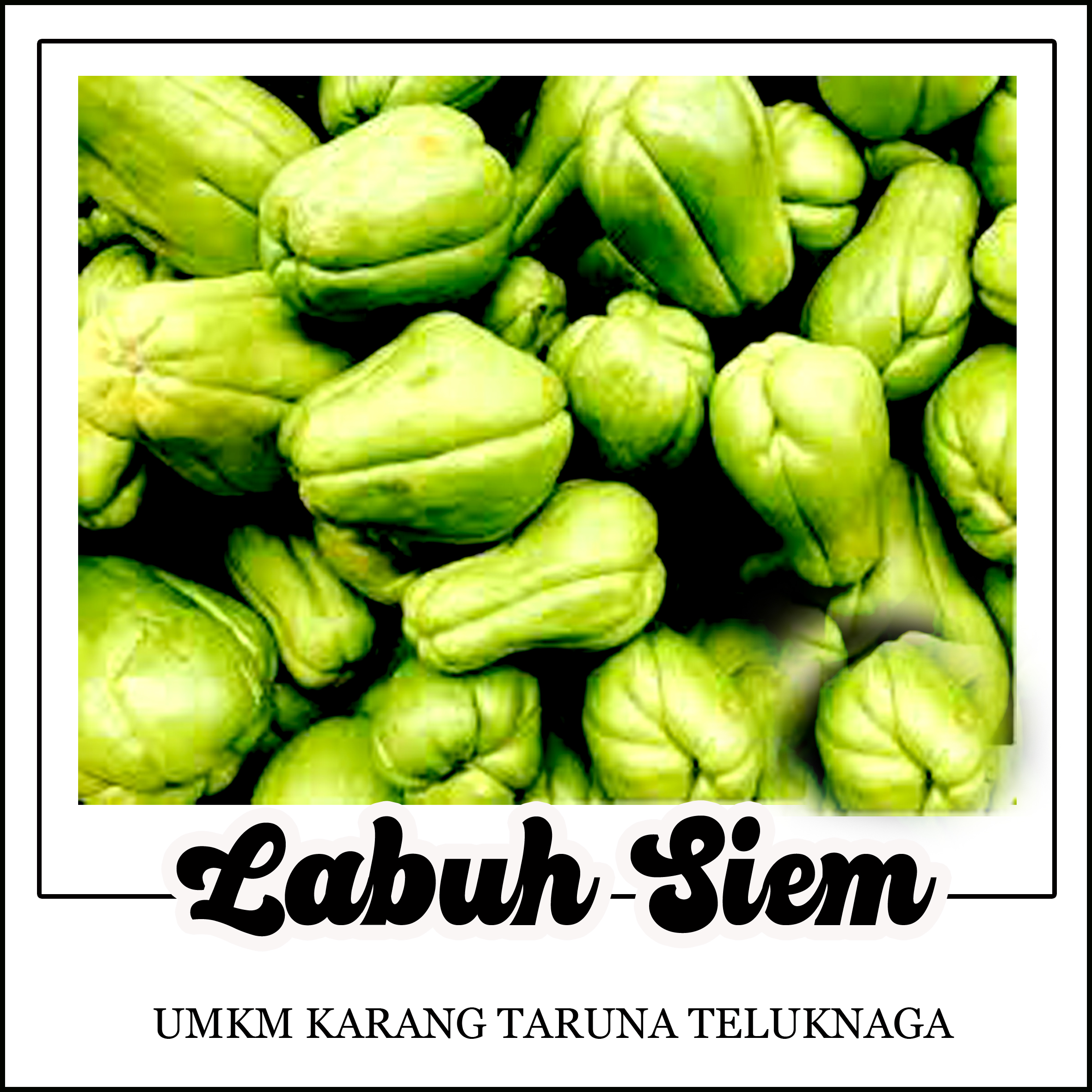 Labu Siam
