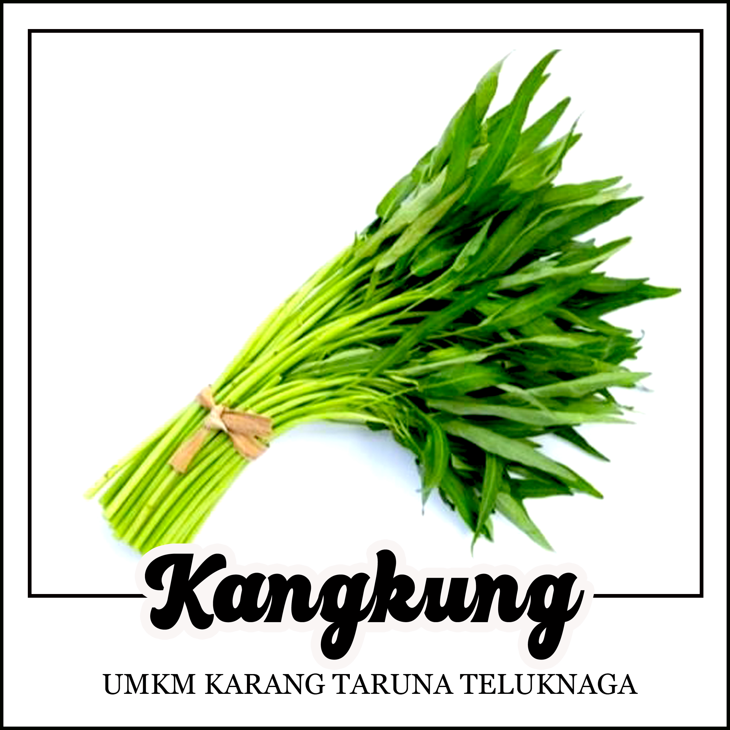 kangkung