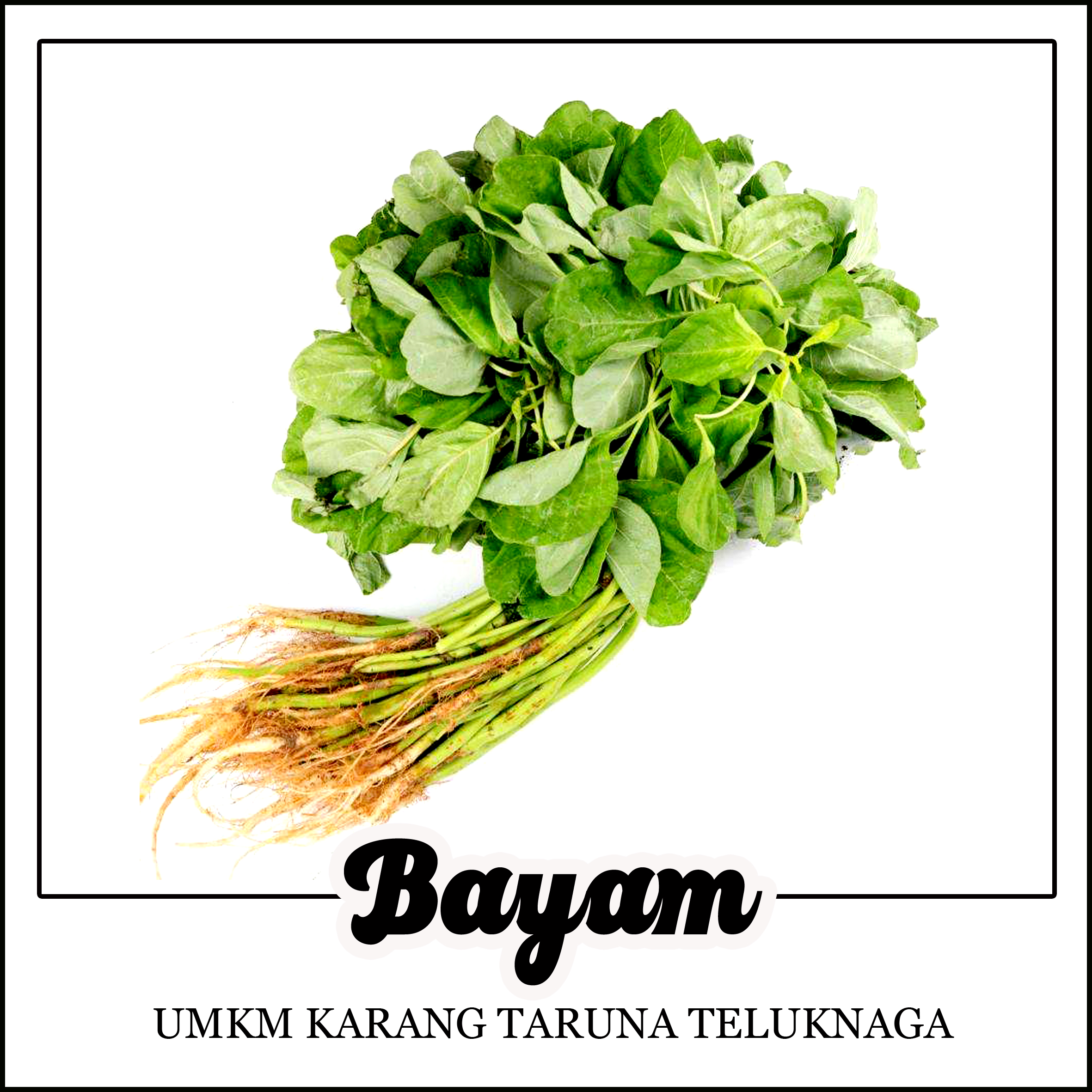 bayem hijau